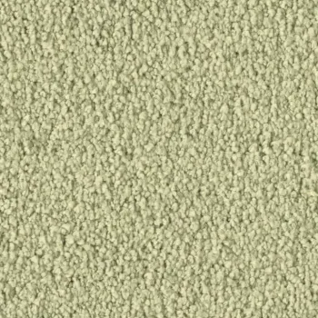 Preview: Vorwerk Violetta 8L38 – Draufsicht Teppichboden Farbe 8L38 ohne Badge